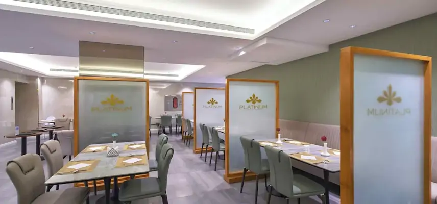 Platinum Hotel image